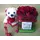 red roses