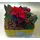 Plant arrangement in ceramic pot - "Paper" look !!!