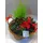 Arrangement with "Christmas" plants
