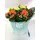 Φυτά kalanchoe  σε ποτ zink "planters"  με αξεσουάρ!!!