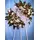 special-wreath