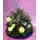 Arrangement with candles on tray