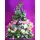 Arrangement in rectangular aluminum tray