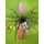 Φυτό tillandsia σε γυάλινο βάζο