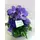 Arrangement with vanda orchids in glass plate