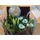 Flowers in wooden box or basket  for new born baby !!!