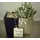 Arrangement of small suculent plant in fine quality pot