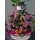 Basket flower arrangement for new born baby
