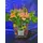 Flower salad from Colored cubes  "Oasis Moss" in glass vase with season summer flowers