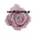 Roses Aqua"snowy"