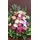 Rich romantic pink & fucshia colored flower arrangement