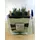 Plants haworthia in glass vase