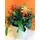 Arrangement of plants in large ceramic pot