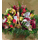 Ουράνιο τόξο από λουλούδια