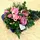 Christmas & New Year Celebrating Arrangements Flowers Blue .Trays.