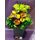 Flower bouquet with feathers and decoration