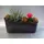 Arrangement with cactus