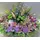 flowers on line