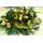 Christmas & New Year Celebrating Arrangements Flowers .Trays.