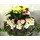 Christmas & New Year Celebrating Arrangements Flowers & Poinsetias