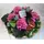 anthuriums & hydrangeas