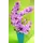 Vase with phalaenopsis "multi colors"
