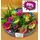 Arrangement in glass with "Rainbow" Roses & Chrysanths