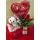 Valentine Love plant "Vriesia"