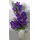 Arrangement with vanda orchids