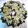 Wreath with white flowers!!!