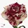 "Harlequin" roses Bouquet (21) stems. New !!!