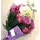 Season flowers  purple colors !!!