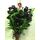 Roses black (21) stems bouquet + vase gift wrapped with greens.
