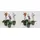 Phalaenopsis Orchid Mini Dwarf (1) plant  (1) spike of flowers in pot. Extra Quality.