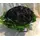 Μαύρα Τριαντάφυλλα Φυσικά (30) τεμ. Black Baccara ! Σύνθεση Σε Γυάλινο.