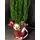 Conifer tree in glass cylinder with decoration and gel. Vase diam 15cm height 20cm.