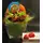 Plant Dionaea Muscipula in glass vase with Decoration !!!