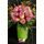 Biedermeier bouquet. (50+) big headed roses. "Ball Shape" + Vase with Decoration.