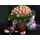 Μπουκέτο με (50) Εξαιρετικά Τριαντάφυλλα σε Παστελ και Ασημί χρώματα. Γυάλινος Κύλινδρος Βάζο με Χρωματισμένο Νερό. Πακέτο με Αρκούδο, Σοκολατάκια & Φρούτα.