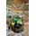 Terrarium plant in glass.Cylinder glass vase 20cm Height 11cm Diam.with Decoration !!! ONE PIECE WITH (1) PLANT