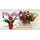Valentine Love plant "Orchid"  in  pot. + Balloon + Teddy Bear !!! Heart Shape !!! (mini pot 6cm & height 15cm)