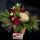 Christmas arrangement in pot with roses and assorted greens