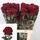 (12) Red Roses Explorer !!! Very exclusive "King of Reds"