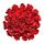 (21) Red Roses Freedom Ecuador 40cm !!! Very exclusive.