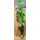 Plant Monstera Deliciosa in glass vase 40cmx14cm. Exclusive.