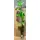 Plant Monstera Deliciosa in glass vase 40cmx14cm. Exclusive.