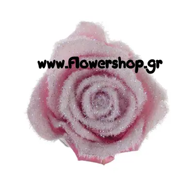 Roses Aqua"snowy"