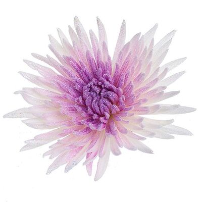 Chrysanthemums Single Heads Exclusive "Anastasia" or "Antonov"