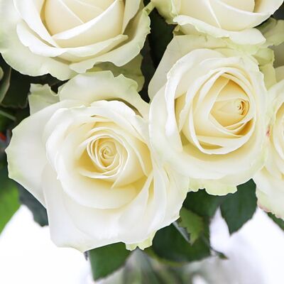 Τριαντάφυλλα Ροζ ή Λευκά (40τεμ.) Ανθοδέσμη ή Μπουκέτο