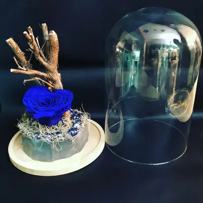 Rose Forever Heart in Glass Cover Diam. 20cm Height 30cm. In "Decorative Package ".